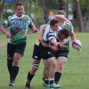 Meet your Posher, Joey